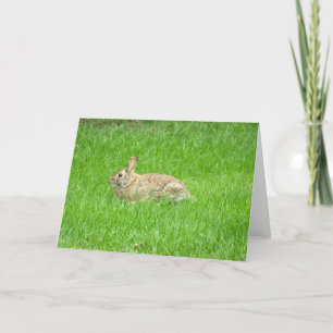 Bunny Rabbit (Green Grass) Greeting Card
