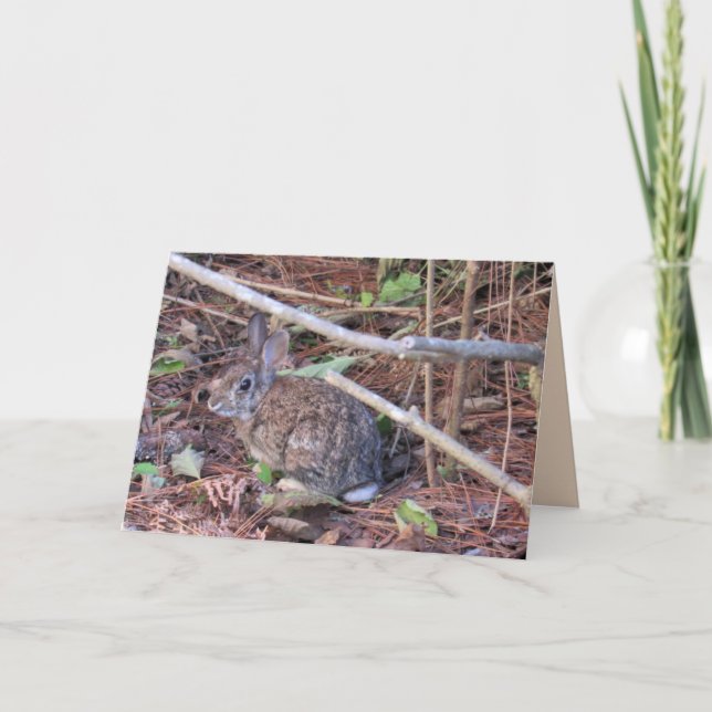 Bunny Rabbit Greeting Card (Front)