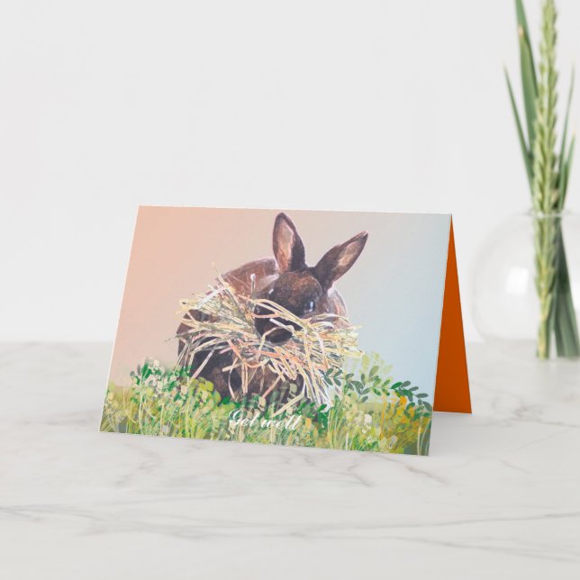 Bunny Rabbit Greeting Cards Birthday, Sympathy (Front)