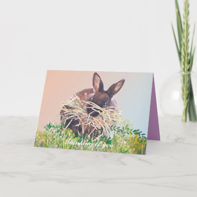 Bunny Rabbit Greeting Cards Birthday, Sympathy (Front)