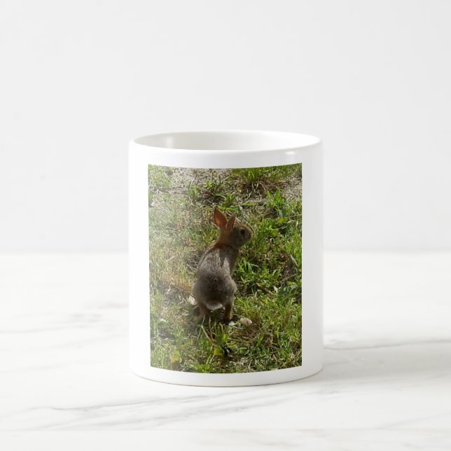 Bunny Rabbit Hare Stuff Coffee Mug (Center)