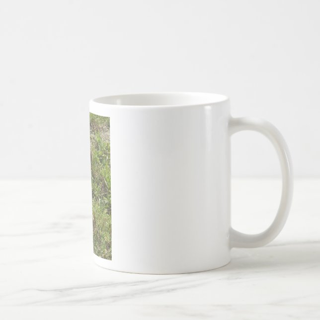 Bunny Rabbit Hare Stuff Coffee Mug (Right)