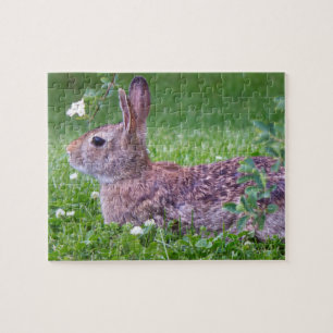 Bunny Rabbit in Grass Closeup Photo Jigsaw Puzzle