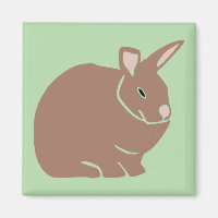 Bunny Rabbit 