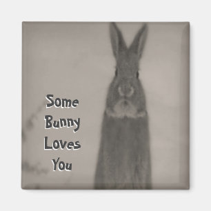 Bunny Rabbit Magnet