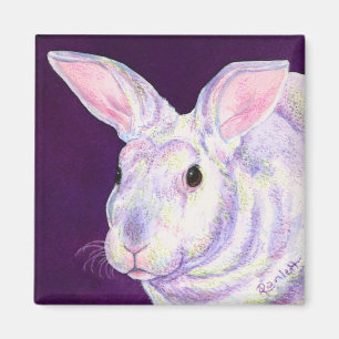 Bunny Rabbit Magnet - "Mr. Personality"