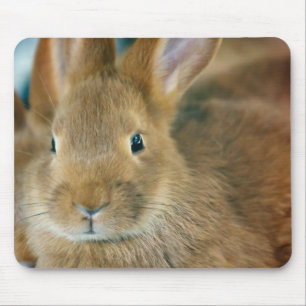 Bunny Rabbit Mouse Pad