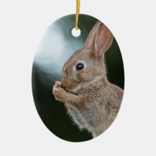 Bunny Rabbit Nature Photo Ceramic Tree Decoration (Front)