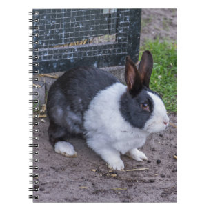 Bunny rabbit notebook