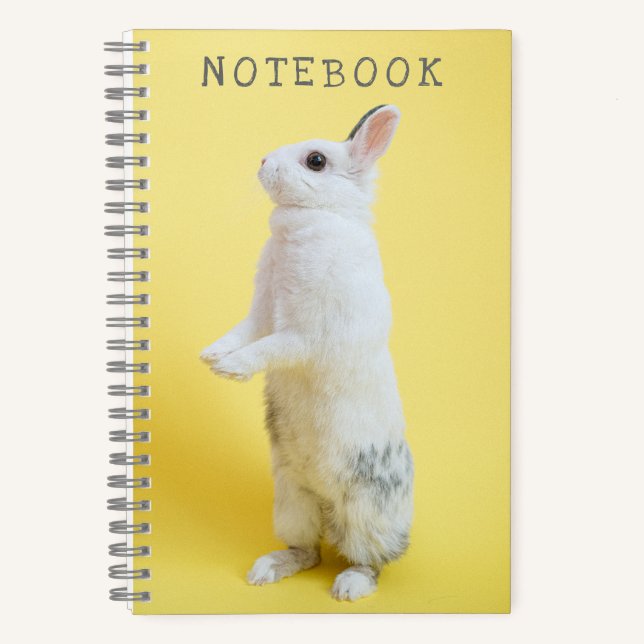 Bunny Rabbit on Yellow Notebook (Front)