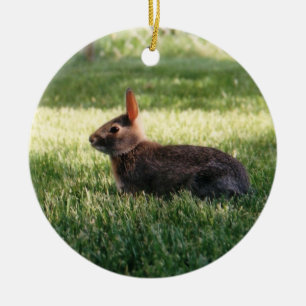 Bunny Rabbit Ornament