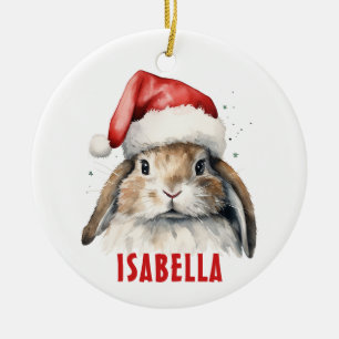 Bunny Rabbit Personalised Ornament
