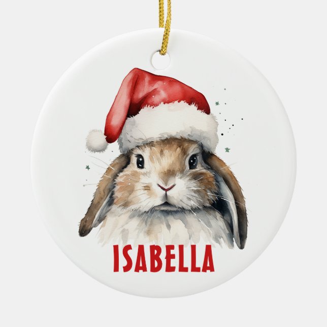 Bunny Rabbit Personalised Ornament (Front)
