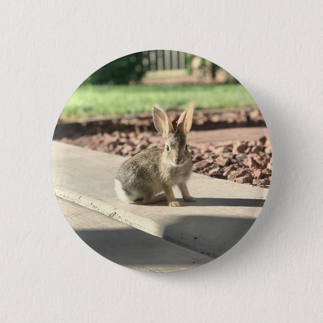 bunny rabbit photo Easter spring 6 Cm Round Badge (Front)
