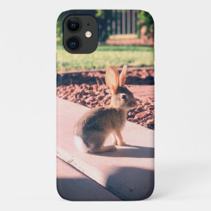 bunny rabbit photo Easter spring Case-Mate iPhone Case