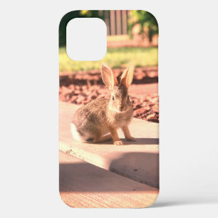 bunny rabbit photo Easter spring iPhone 12 Case