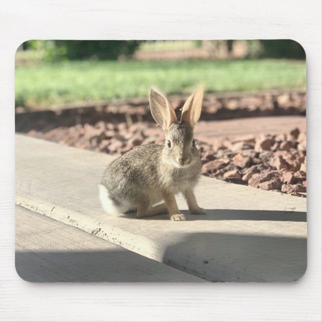 bunny rabbit photo Easter spring Mouse Pad (Front)