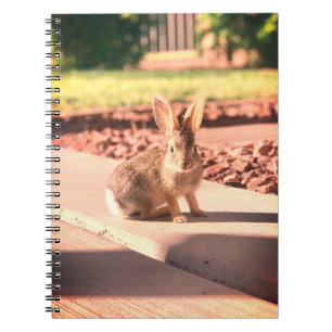 bunny rabbit photo Easter spring Notebook