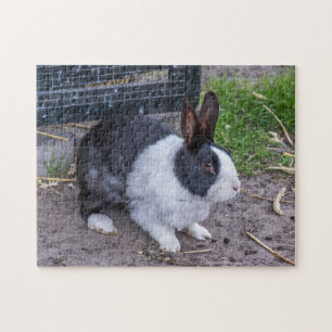 Bunny rabbit photo puzzle