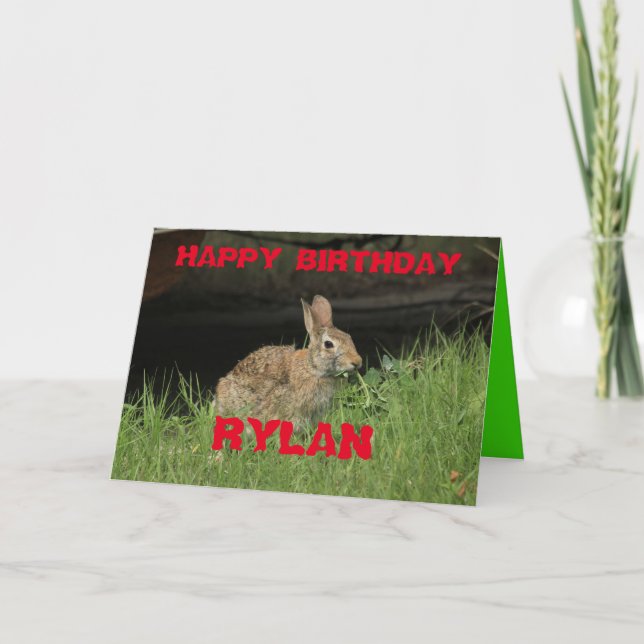 Bunny Rabbit shot Closeup with grass Greeting Card (Front)