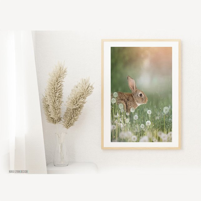Bunny Rabbit Sitting In Dandelion Field Girls Room Photo Print (Creator Uploaded)