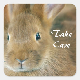 Bunny Rabbit Square Sticker
