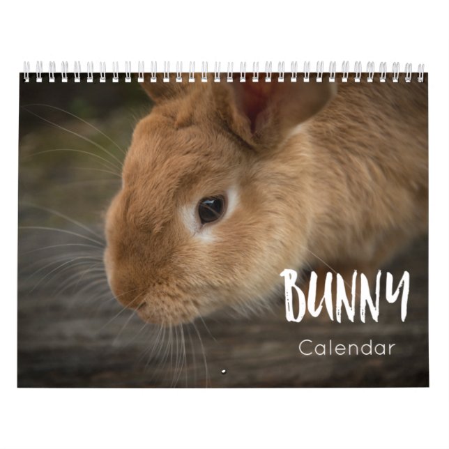 Bunny ( Rabbits )  2023 Calendar (Cover)