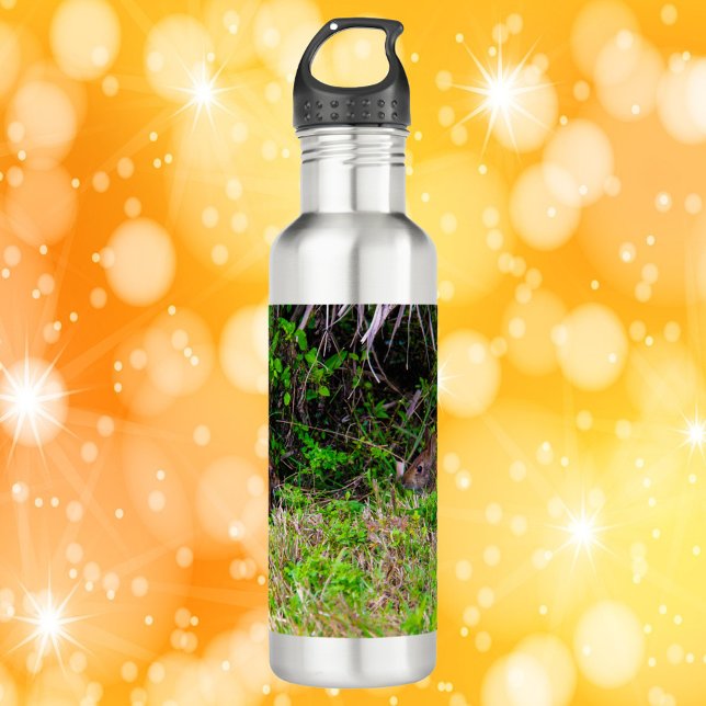 Bunny Rabbits in the Grass Florida 710 Ml Water Bottle (A cute water bottle with a photo of two bunny rabbits.)