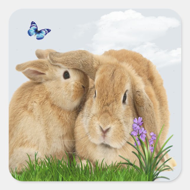 Bunny rabbitt square sticker (Front)