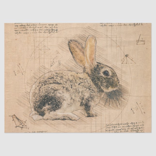 Bunny Rustic Grunge Drawing Tissue Paper (Front)