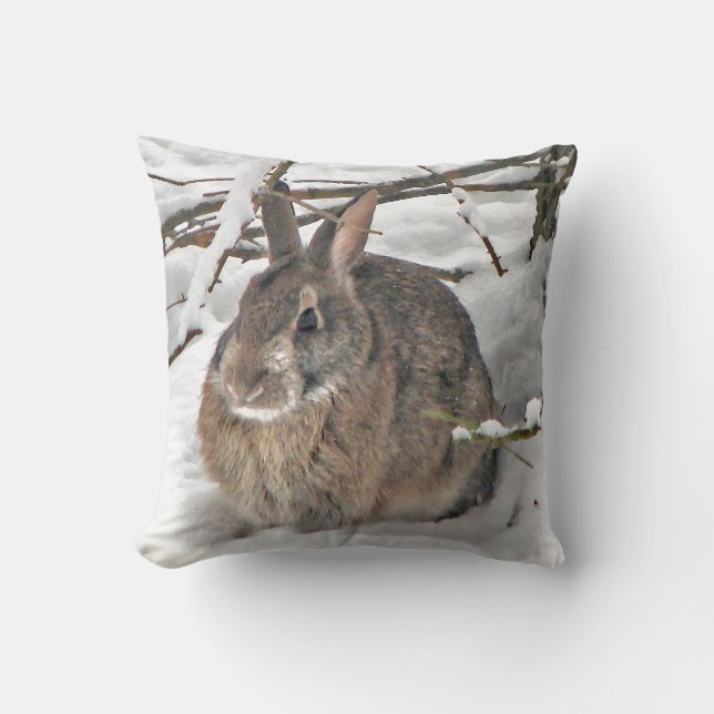 Bunny Seeking Shelter Cushion (Front)