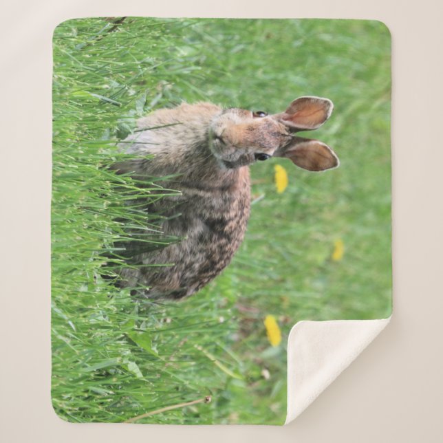 Bunny  sherpa blanket (Front)
