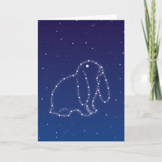 Bunny Sympathy Card