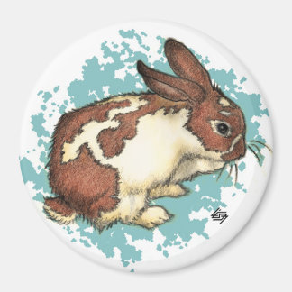 Bunny washing his face with blue magnet