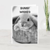 BUNNY "WISHES** AND EASTER **KISSES**