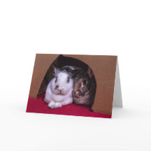 BunnyLuv Valentine's Day card (from her)
