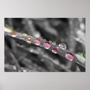 Bunte Tropfen-colorful drops-colorful drops Poster