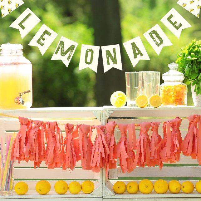 bunting banner (Creator Uploaded)