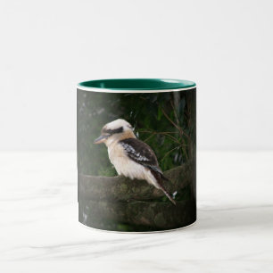 Bunya Mountains Kookaburra Mug