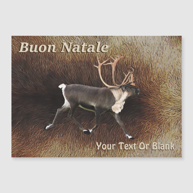 Buon Natale - Bull Caribou (Reindeer) (Front)