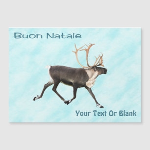Buon Natale - Caribou (Reindeer) On Snow