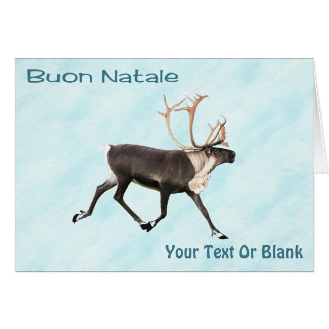 Buon Natale - Caribou (Reindeer) On Snow (Front Horizontal)
