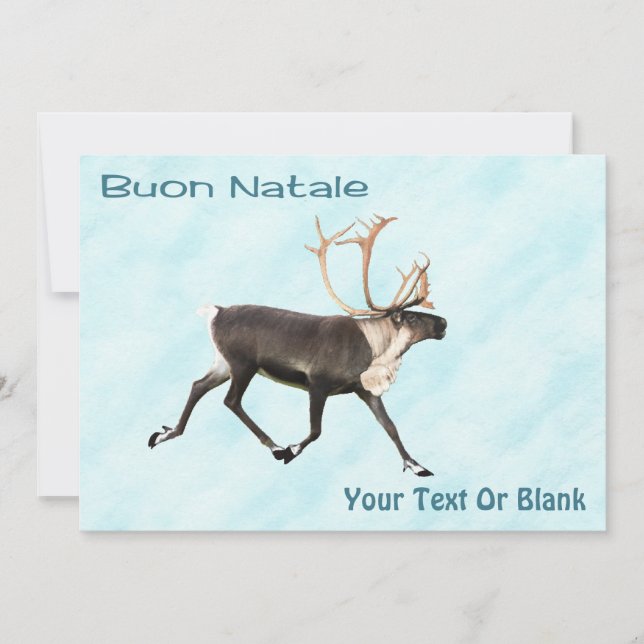 Buon Natale - Caribou (Reindeer) On Snow (Front)