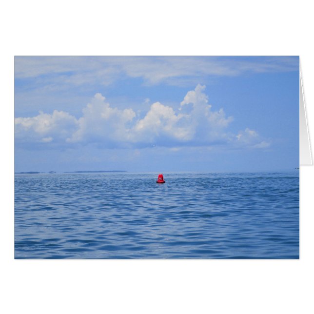Buoy's Life II (Front Horizontal)