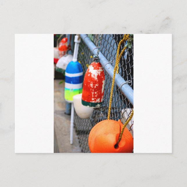 Buoys on the Fence Postcard (Front)
