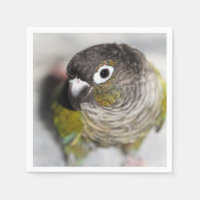 Burbel