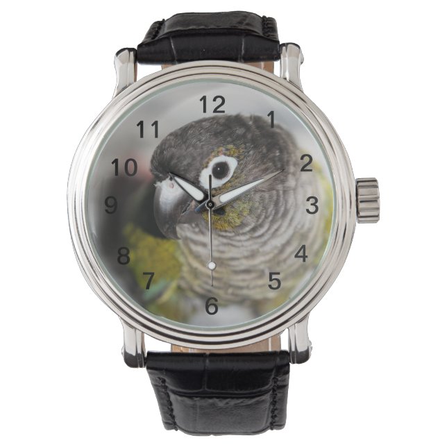 Burbel Watch (Front)