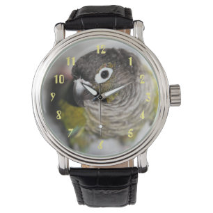 Burbel Watch