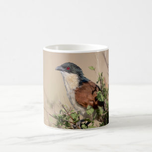 Burchell's Coucal Coffee Mug