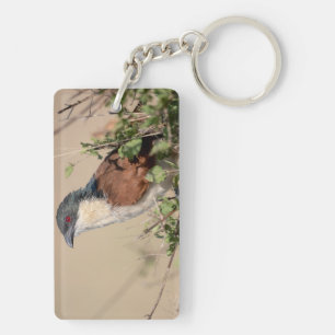 Burchell's Coucal Key Ring